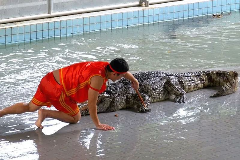 The-Million-Years-Stone-Park-Pattaya-1-min